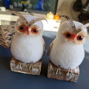 Two Decorative Shimmering White Owl and Ornaments